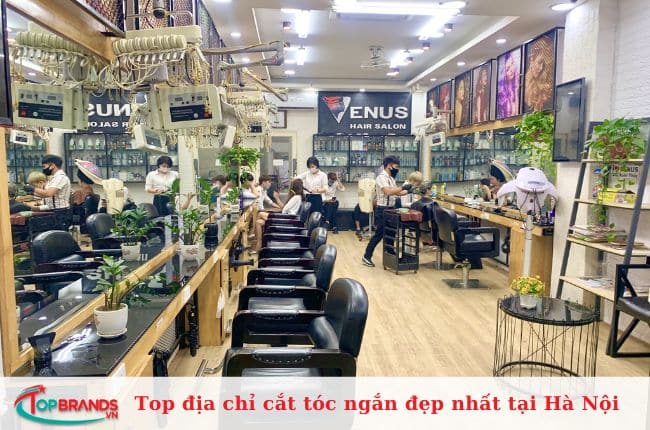 Venus Hair Salon