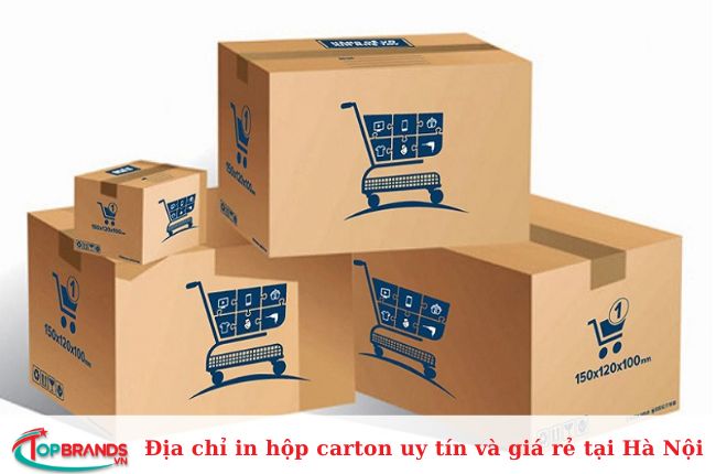 CTCP Thương mại và Dịch vụ In Hòa Phát in hộp carton