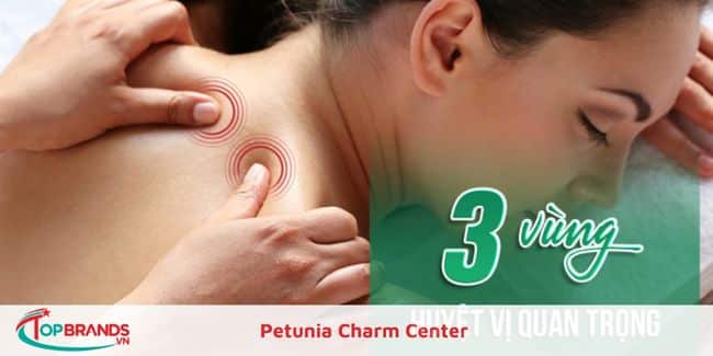 Petunia Charm Center