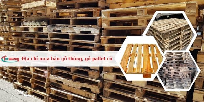 Top 10 địa chỉ mua bán gỗ thông, gỗ pallet cũ ở Hà Nội uy tín nhất