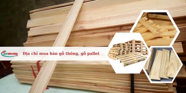 Top 20 địa chỉ mua bán gỗ thông, gỗ pallet ở Hà Nội uy tín nhất