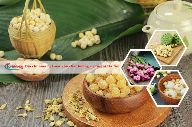 Địa chỉ mua hạt sen khô chất lượng, uy tín tại Hà Nội