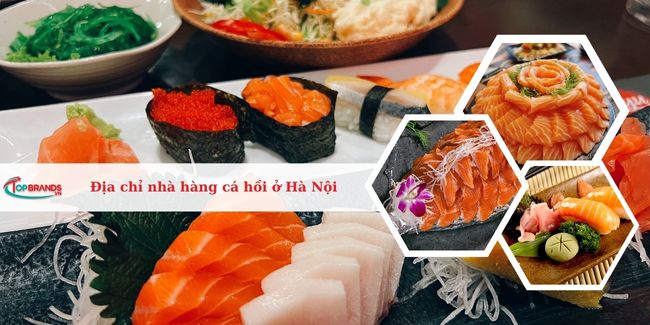 Top 16 Địa chỉ nhà hàng cá hồi ở Hà Nội ngon, nổi tiếng nhất