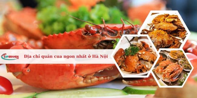 Top 10 Địa chỉ quán ăn cua ngon nhất tại Hà Nội