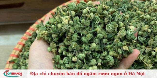 Dược Liệu Ngâm Rượu