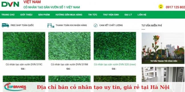 DVN Việt Nam