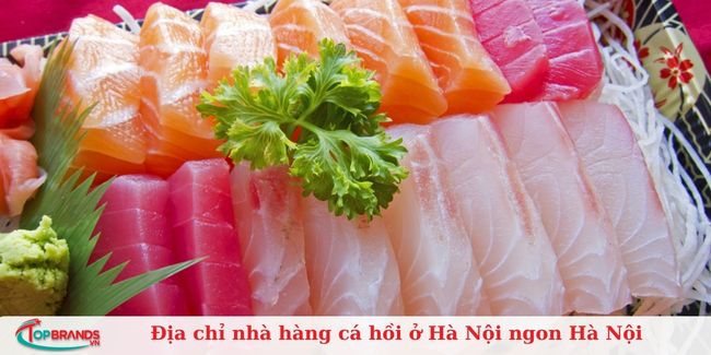 FiveTC – Cá hồi Nauy nhập khẩu tại Hà Nội