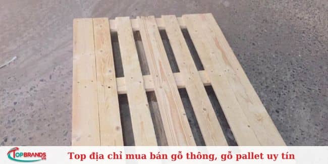 Gỗ GMA Việt Nam