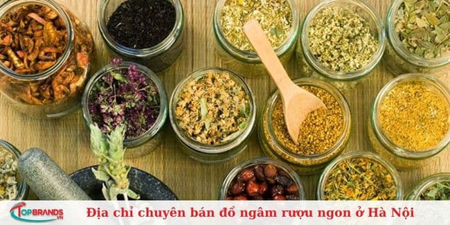 Thảo mộc Hà Huy Toại