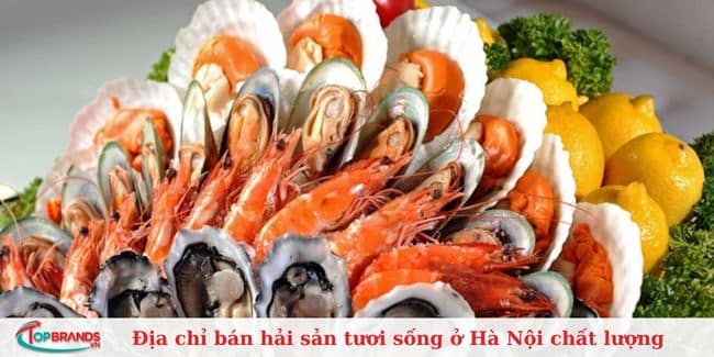 Hải sản 24H