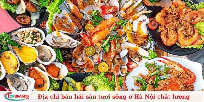 Hải Sản Biển Đông