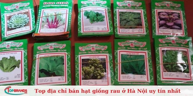 Cửa Hàng Hạt Giống Mỹ Đình