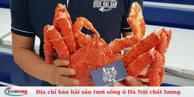 Hiếu Hải Sản