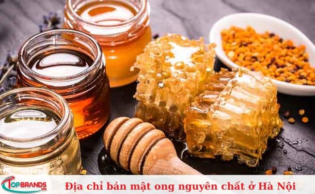 Mật Ong Hoa Ban Food