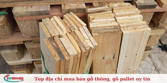 Công Ty TNHH Hoàng Hải