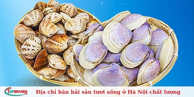 Hải Sản Hùng Trường Sa