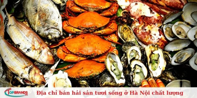 Chợ Hải Sản Huyền Chiến