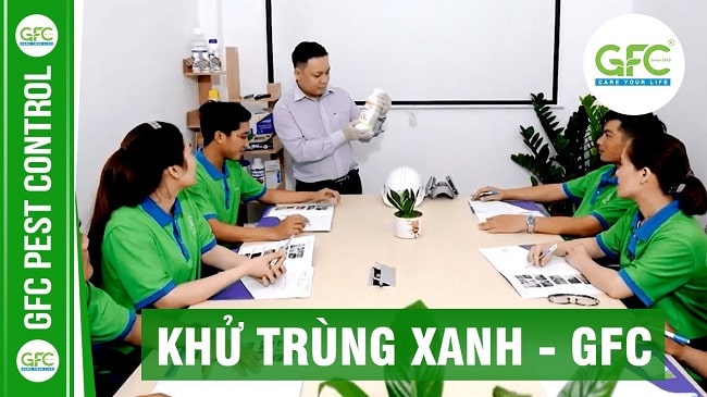 GFC chuyên hoạt động trong lĩnh vực kiểm soát côn trùng