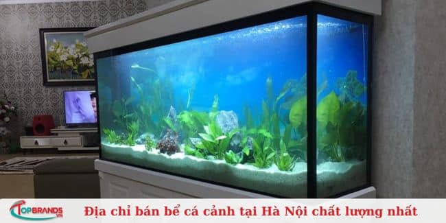 Cá Cảnh Thắng Ngọc Hà