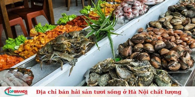 Cửa hàng hải sản Nguyên Anh