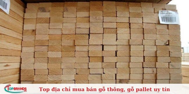 Công ty tinh Sơn Thắng