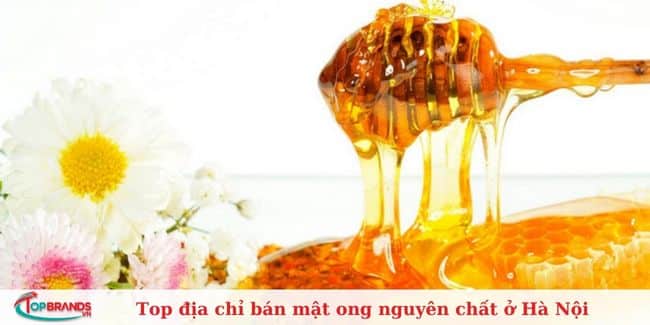 Mật Ong Tây Nguyên