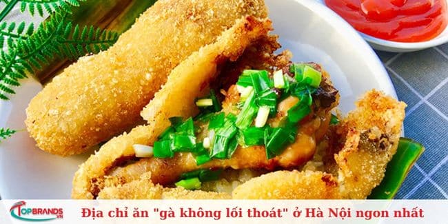 Gà không lối thoát Thái Hà