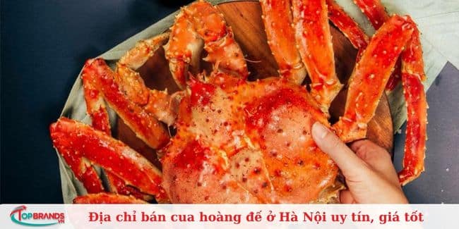 Thế Giới Hải Sản