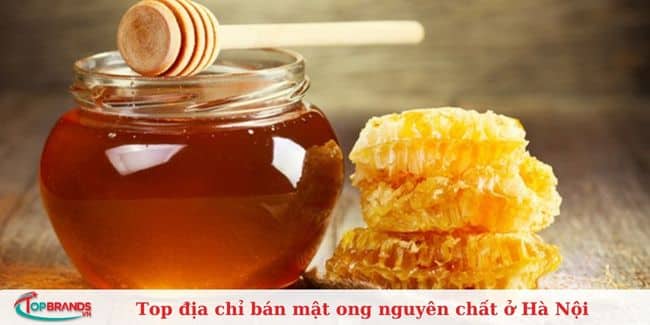 Thế giới thuốc Nam