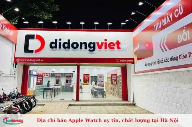 Di động Việt