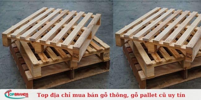 Công ty TNHH Trường Phát