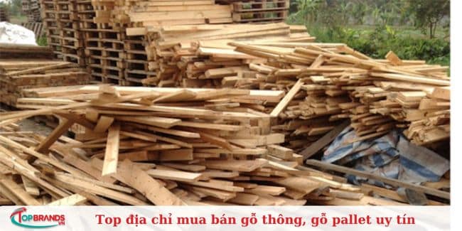 Công ty TNHH Trường Phát