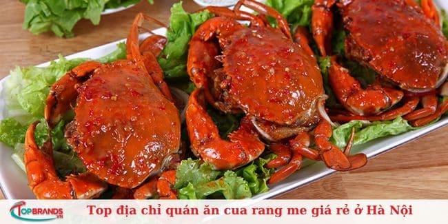 Vị quán