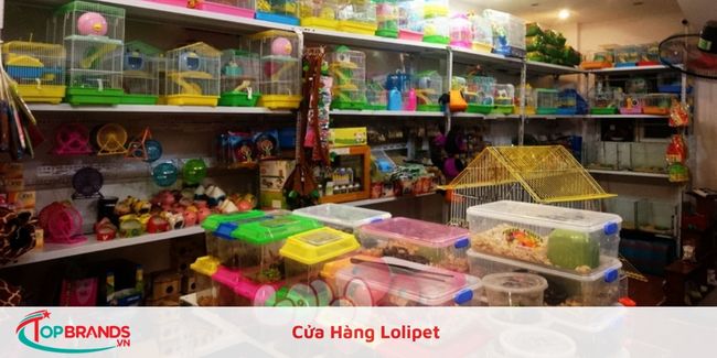 Cửa hàng bán mèo đẹp tại Hà Nội