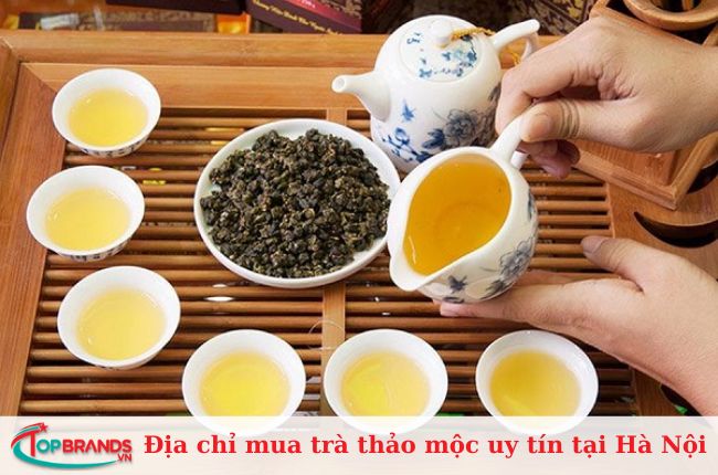 Top địa chỉ mua trà thảo mộc tại Hà Nội uy tín và chất lượng