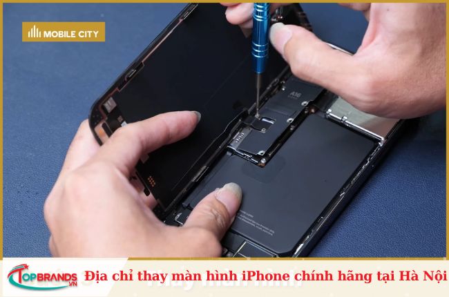Thay màn hình iphone giá rẻ tại Hà Nội