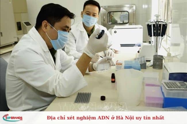 Địa chỉ xét nghiệm ADN uy tín ở Hà Nội