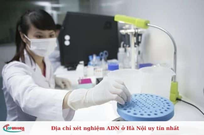 Địa chỉ xét nghiệm ADN chất lượng cao ở Hà Nội