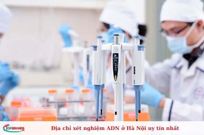 Địa chỉ xét nghiệm adn ở Hà Nội uy tín nhất