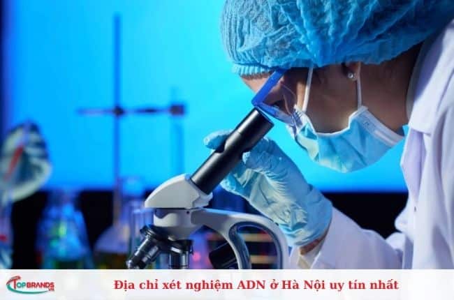 Địa chỉ xét nghiệm adn ở Hà Nội uy tín nhất