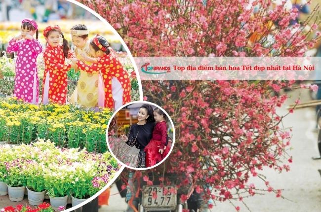 Địa điểm bán hoa tết tại Hà Nội
