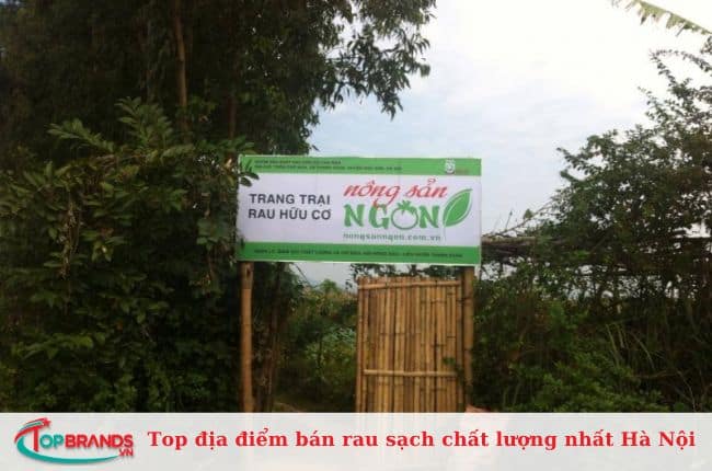 Trang trại hữu cơ Nông sản ngon