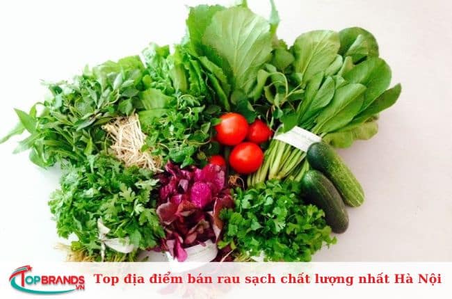 Cửa hàng thực phẩm sạch 3C