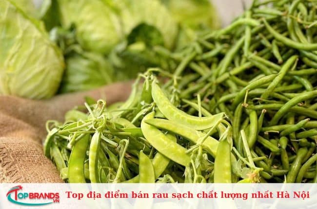 Địa điểm bán rau sạch ở Hà Nội chất lượng