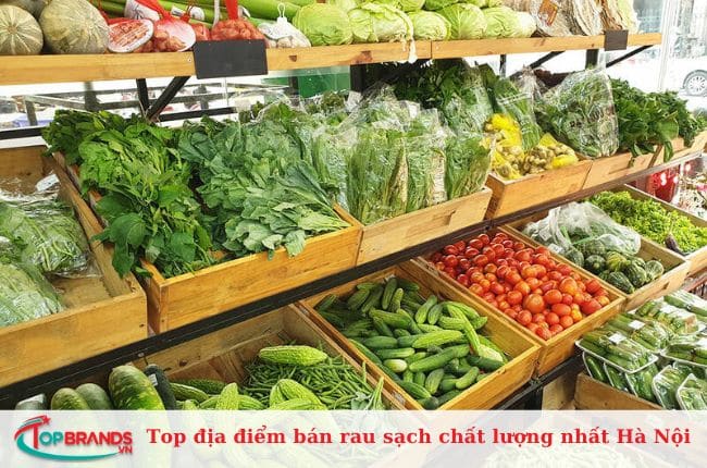 Cửa hàng thực phẩm Chi Nông