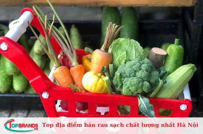 Rau sạch Hà Nội CT Food