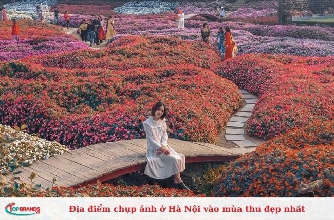 Địa điểm chụp ảnh mùa thu Hà Nội đẹp nao lòng