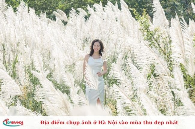 Địa điểm chụp ảnh mùa thu Hà Nội đẹp nhất