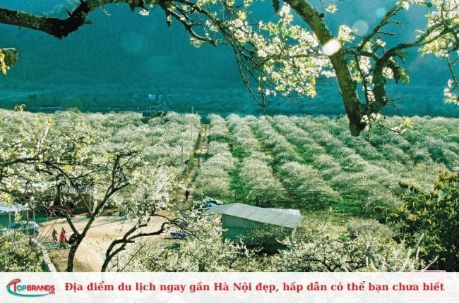 Địa điểm du lịch ngay gần Hà Nội đẹp, hấp dẫn