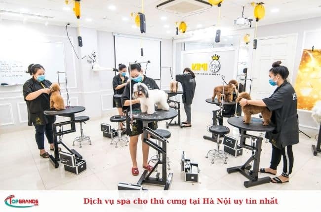  Dịch vụ tắm cho chó mèo chất lượng ở Hà Nội